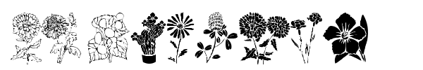 DT Flowers font preview